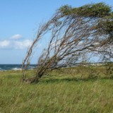 0709F 046 Travemuende-Usedom
